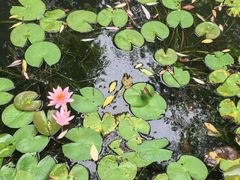 -上海市第三女子中学