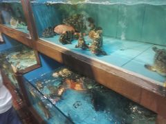 景观位-横琴公社餐厅