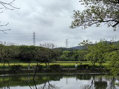 -八卦田遗址公园