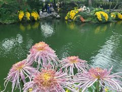 -杭州植物园