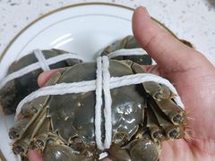 -黄记大闸蟹专卖店·活蟹·醉蟹