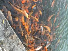 -广西职业师范学院(相思湖校区)