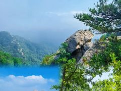 -沂蒙山旅游区云蒙景区(蒙山国家森林公园)