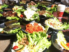 -品德宏·孔雀宴的发源地(金塔园店)