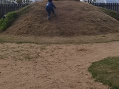 -前小桔亲子创意农场·草莓采摘·露营烧烤