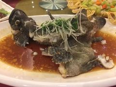 -金迎海鲜酒家(金凤凰广场店)