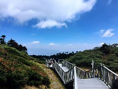 -玉苍山国家森林公园