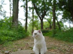 -白鹭湾湿地公园