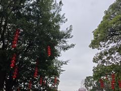 -海珠湖公园