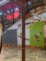 -卡通尼·Safari非洲探索乐园·生日会(金桥国际商业广场店)