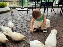 -茵特拉根酒店·西餐厅