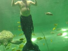 -苏州海洋馆