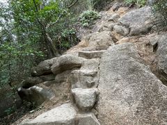 -狮子山郊野公园