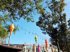 -奥兰多迪士尼动物王国乐园