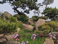 -罗红摄影艺术馆