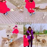 北京遛娃 |森林奇趣乐园🦌与小鹿一起奔跑