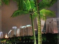 -万绿园