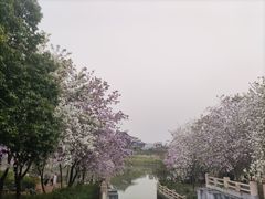 -海珠湖公园