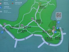 -上海佘山国家森林公园天马山园