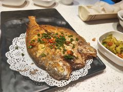 -九府羊·鲜羊火锅·烤串(新华路店)