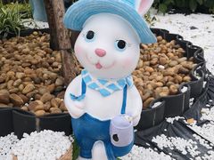 -荷兰花海
