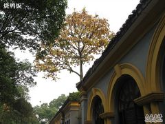 -湖南省立第一师范学校旧址