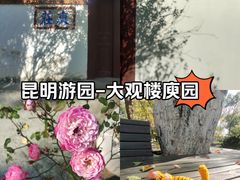 -庾园