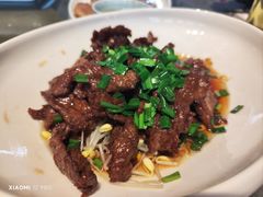 -碧丽宫大酒店(召稼楼店)