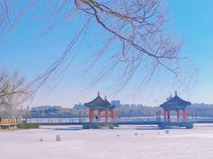 -长春市南湖公园