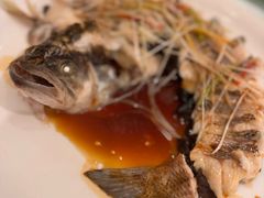 -博雅渔港·融合菜(维也纳国际大酒店)