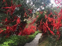-桃花岛风景旅游区