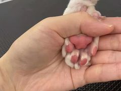 -comecome来吧宠物(奥克斯中心店)