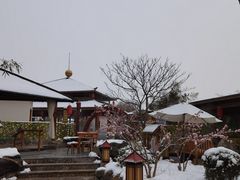 -华山御温泉度假村