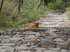 -阳台山自然风景区