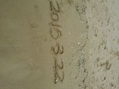 android_upload_pic-三亚亚龙湾红树林度假酒店