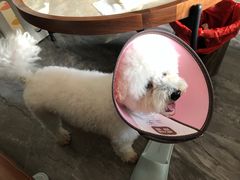 -钱山海鲜大排档