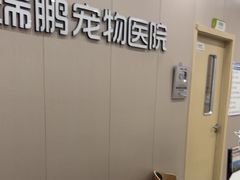 -瑞鹏宠物医院·骨外科·心肾科·肿瘤科(九亭店)