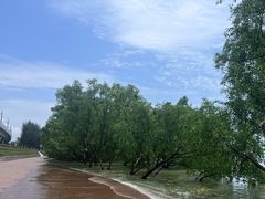 -宝安西湾红树林湿地公园