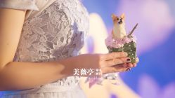 -美薇亭婚礼顾问