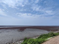 -红海滩国家风景廊道
