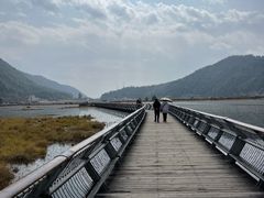 -腾冲北海湿地