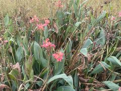 -风云岭森林公园