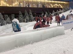 -世界之窗阿尔卑斯冰雪世界