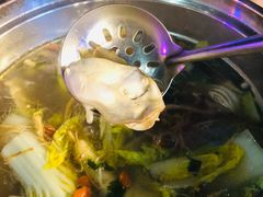 -千岛蚝高压锅生蚝·人参火锅(白云万达店)