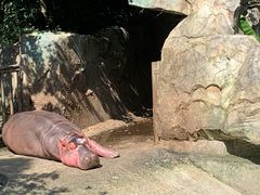 -宁波野生动物园