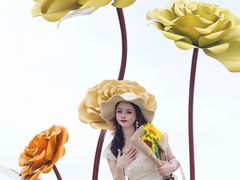 -杭州湾海上花田景区