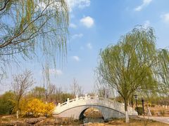 -水西公园