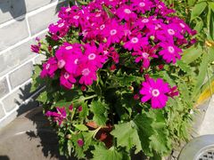 -顺德了能馆(虎门店)