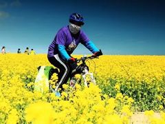 -青海湖国家重点风景名胜区
