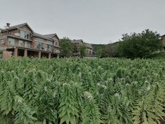 -大连北马山庄